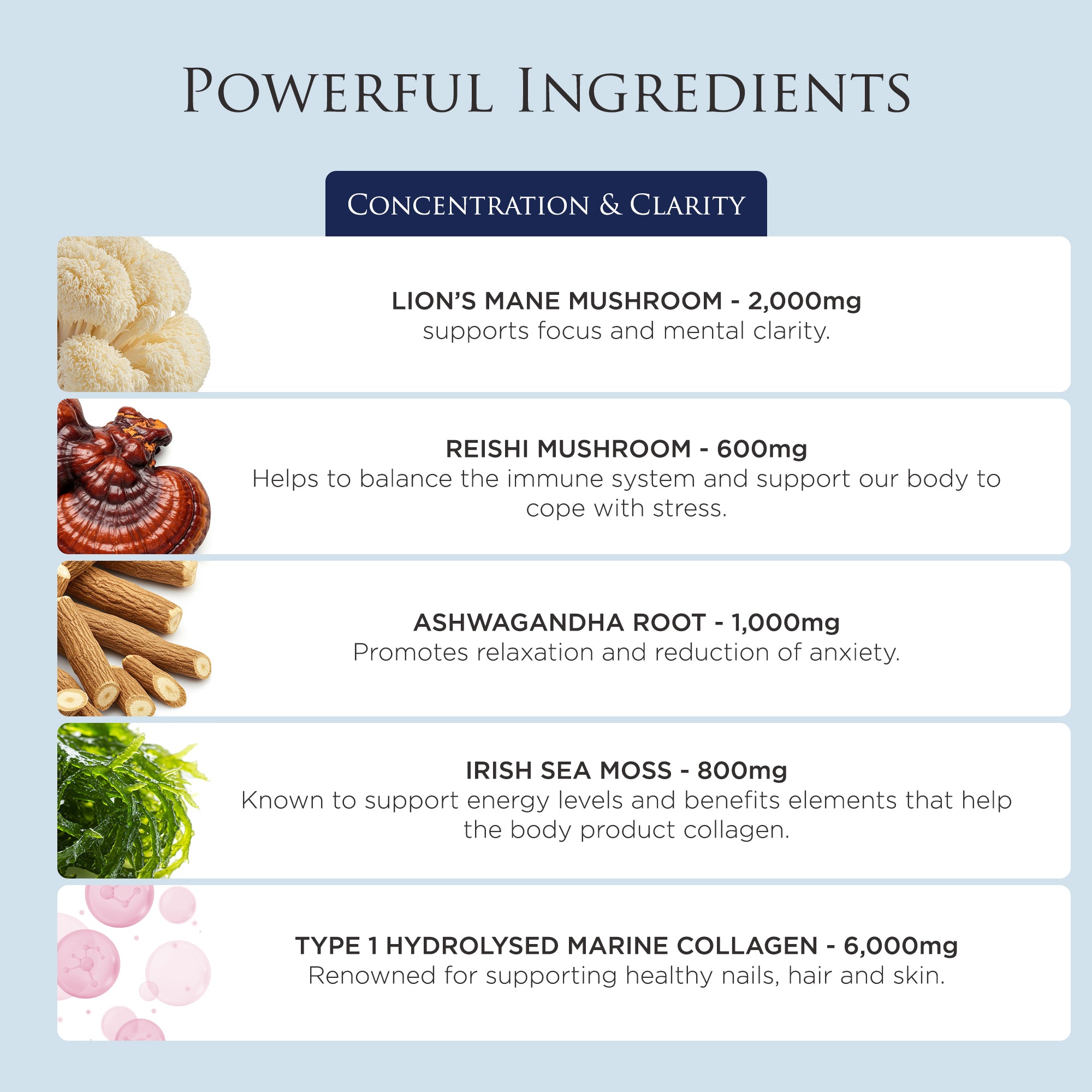 Revive Collagen Nootropics Ingridients