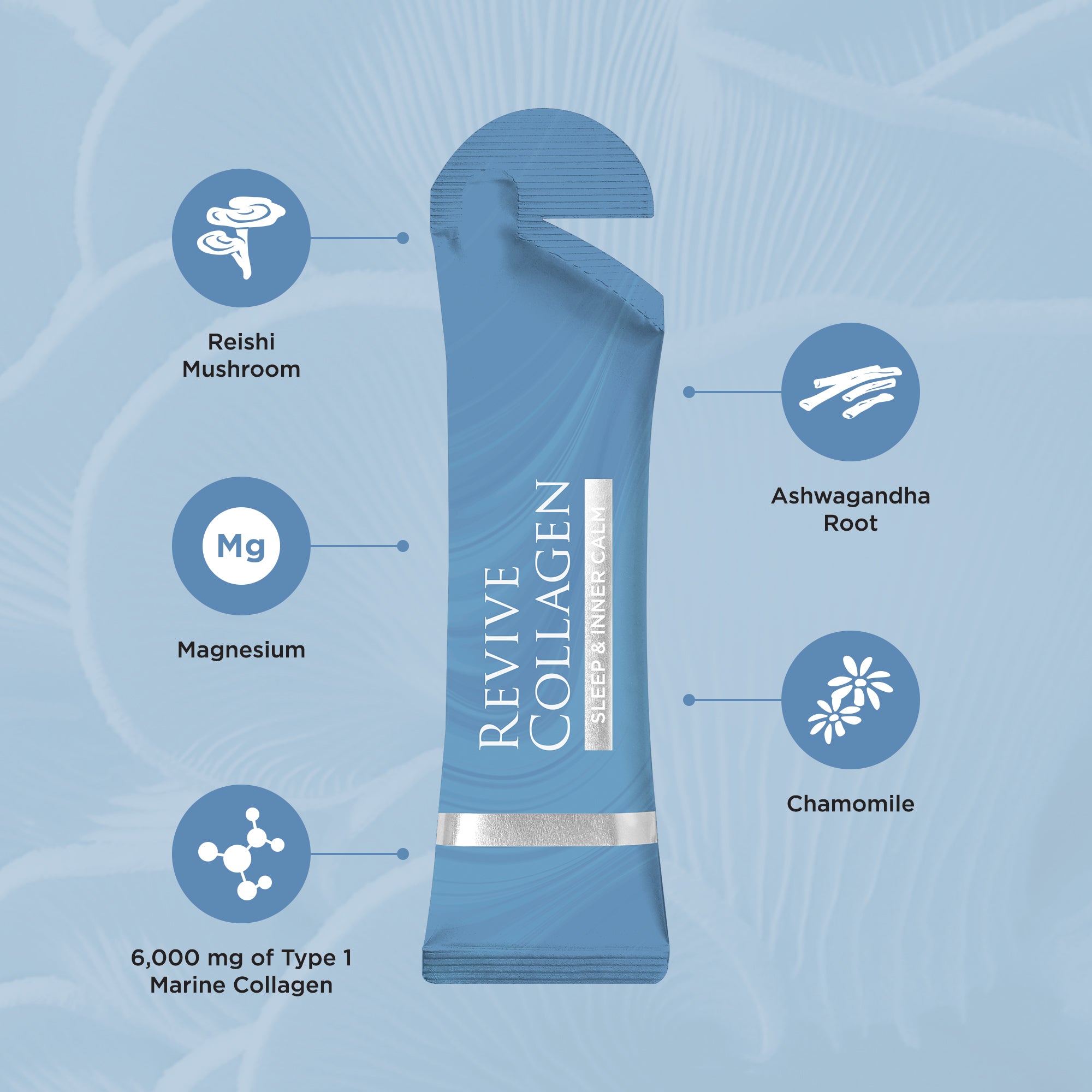 Revive Collagen Nootropics Sachet Highlights