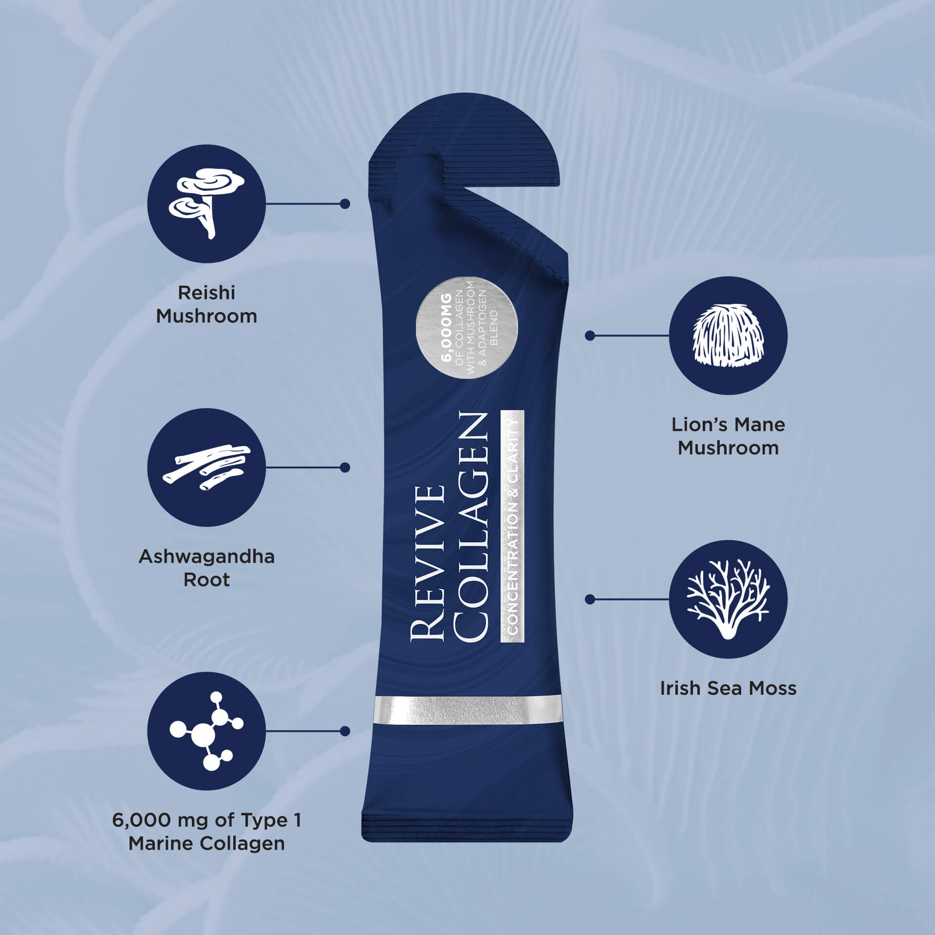 [USA] Revive Collagen - Concentration & Clarity